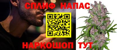 PSILOCYBIN Тула