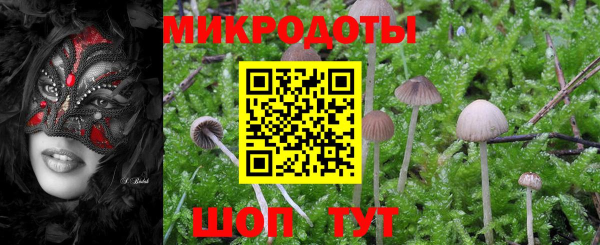 Галлюциногенные грибы Psilocybe Нефтеюганск